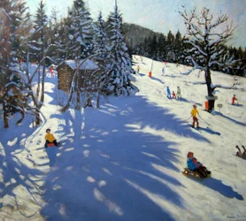 Cabane de montagne, Morzine